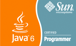 Oracle Sun - Java Certified Programmer 6.0
